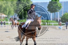 ref. photo 3612155
