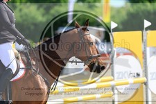 ref. photo 3612156
