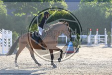 ref. photo 3612184