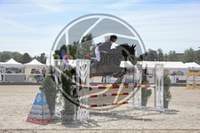 ref. photo 3612206