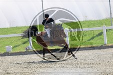 ref. photo 3612245