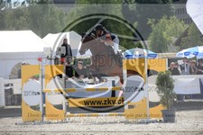 ref. photo 3612256