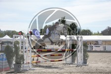 ref. photo 3612266