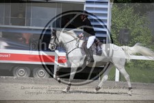 ref. photo 3612273