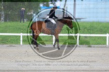 ref. photo 3612324