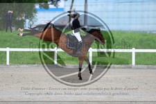ref. photo 3612325