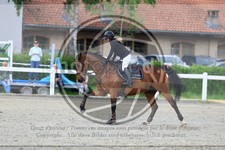 ref. photo 3612332