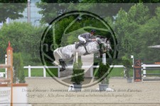 ref. photo 3612341