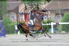 ref. photo 3612369