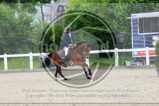 ref. photo 3612755