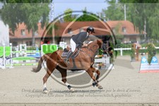 ref. photo 3612940