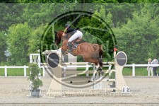 ref. photo 3612944