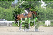 ref. photo 3612993