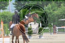 ref. photo 3613033