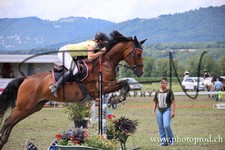 ref. photo 3261351