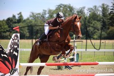 ref. photo 3261710