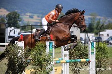ref. photo 3262208
