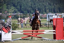 ref. photo 3262433
