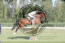 ref. photo 3718706