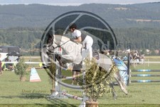 ref. photo 3718763