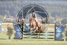 ref. photo 3719047
