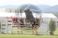 ref. photo 3719142