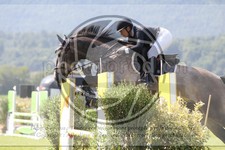 ref. photo 3719144