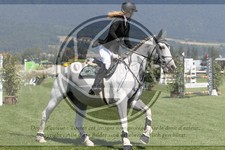 ref. photo 3719269