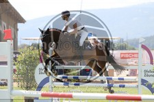 ref. photo 3719503