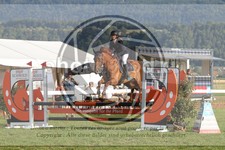 ref. photo 3720116