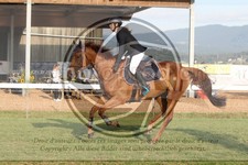 ref. photo 3720117