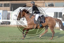 ref. photo 3720118