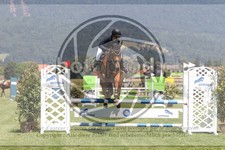 ref. photo 3720231