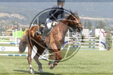 ref. photo 3720232