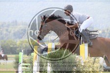 ref. photo 3720277