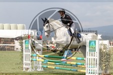 ref. photo 3720306