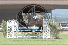 ref. photo 3720322
