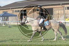 ref. photo 3720337