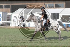 ref. photo 3720344