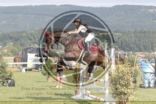ref. photo 3720401