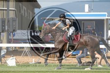 ref. photo 3720403