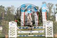ref. photo 3720413
