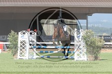 ref. photo 3720415
