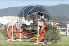 ref. photo 3720482