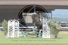 ref. photo 3720544
