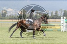 ref. photo 3720555