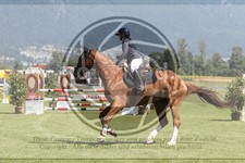 ref. photo 3720707