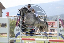 ref. photo 3720988