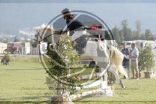 ref. photo 3721143