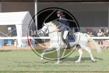 ref. photo 3721147
